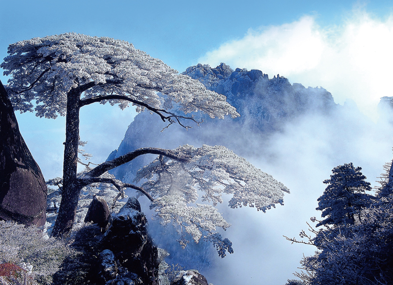 規(guī)模強(qiáng)大 實(shí)力雄厚